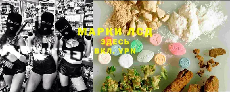 LSD-25 экстази ecstasy  ОМГ ОМГ как зайти  Новоалександровск 