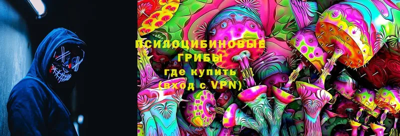 MEGA как войти  Новоалександровск  Галлюциногенные грибы Magic Shrooms  дарнет шоп 